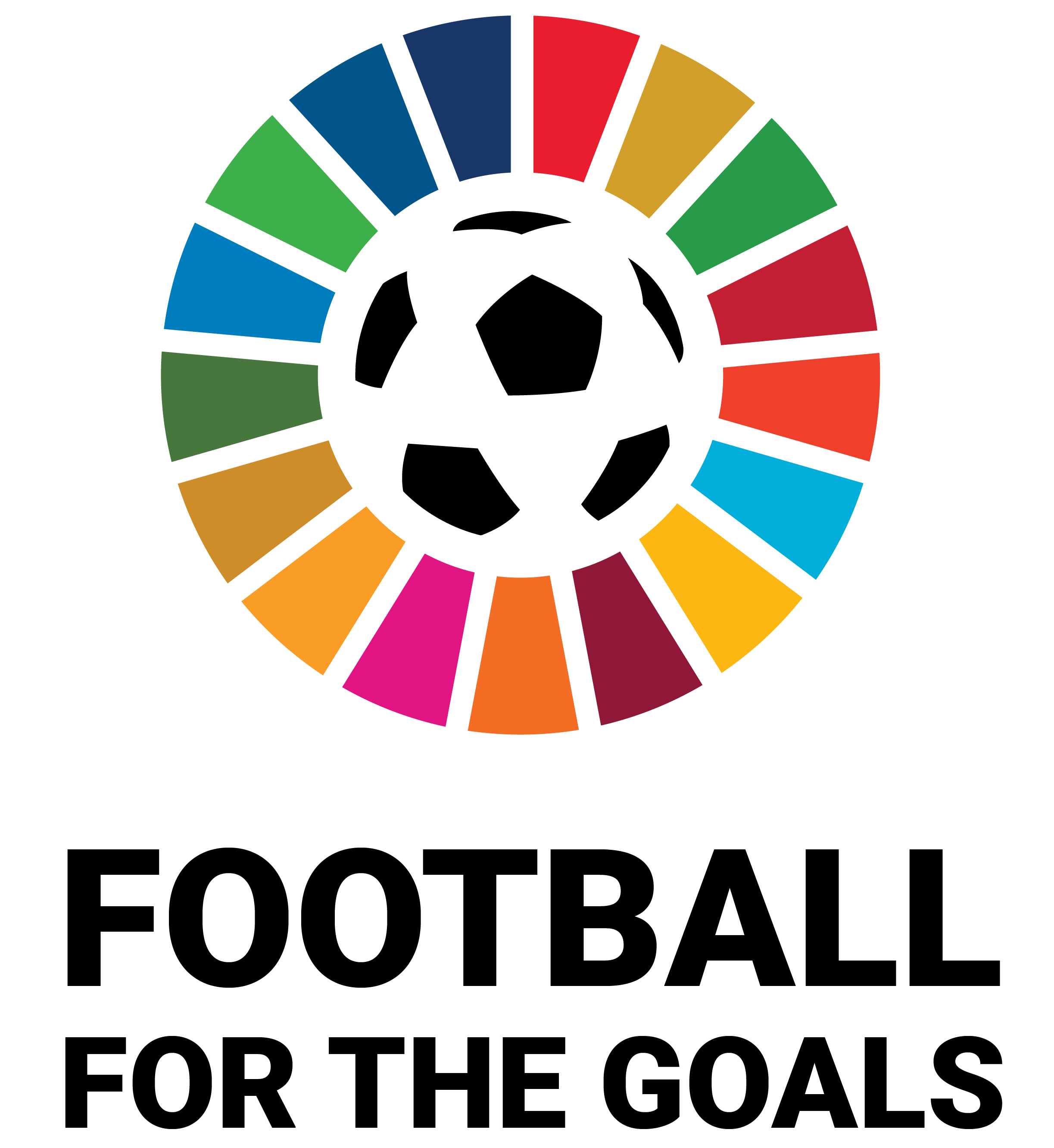 Football For The Goals